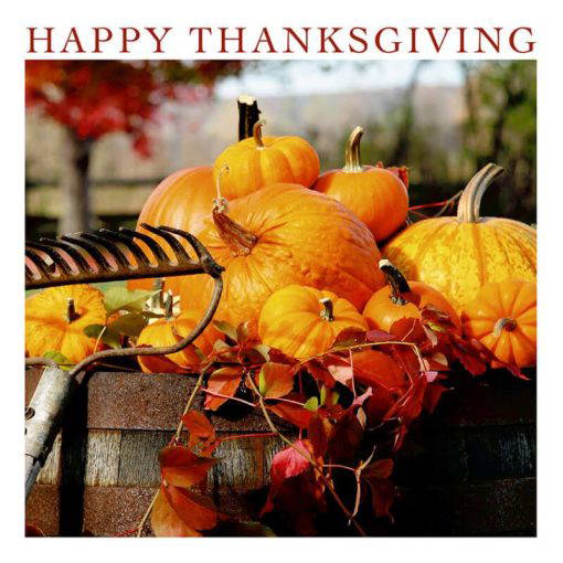 Thanksgiving card