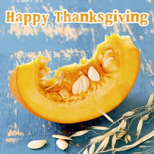 Thanksgiving card