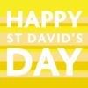 St David's Day Greeting Card