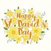 St David's Day Greeting Card