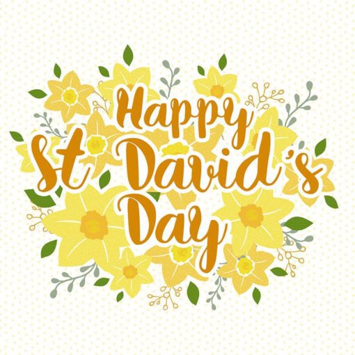 St David's Day Greeting Card